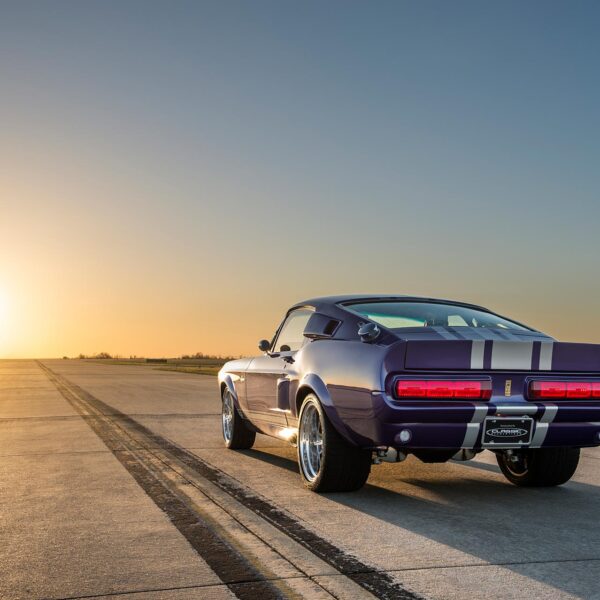 Il nuovo sito web Magnus è online!